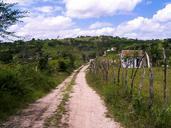 road-trees-spring-landscape-farm-579351.jpg