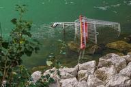 vienna-danube-shopping-cart-stones-974945.jpg