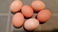 eggs-brown-food-shell-oval-469112.jpg