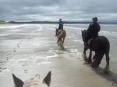 ireland-landscape-irish-sky-sea-248732.jpg