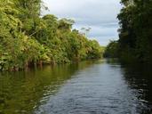 river-rainforest-costa-rica-334467.jpg