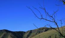 sky-bright-clear-pure-blue-184128.jpg