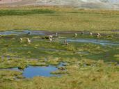 san-pedro-de-atacama-chile-673361.jpg