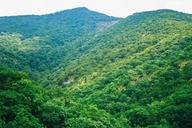 mountains-summer-greens-trees-1578181.jpg