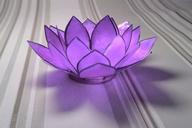 water-lily-glass-purple-decoration-656998.jpg