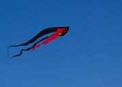 sky-dragons-wind-sun-blue-fly-960962.jpg