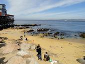 Beach - Monterey, CA - DSC06773.JPG