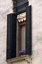 window-flowers-shutters-venice-660444.jpg