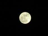 full-moon-moon-night-11064.jpg