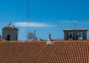 roof-tile-antenna-campaign-color-174100.jpg