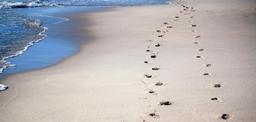 footprints-sand-sea-beach-ocean-600743.jpg