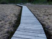 web-boardwalk-moor-swamp-moorland-357827.jpg