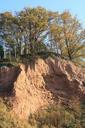 lieth-lime-pit-cliff-slope-520470.jpg