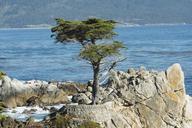 pebble-beach-shoreline-california-1650666.jpg