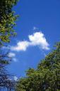 blue-sky-sky-blue-cloud-white-637202.jpg