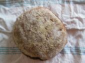 bread-loaf-fresh-baked-round-rye-261928.jpg