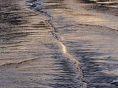 mud-low-tide-estuary-sea-beach-1595806.jpg