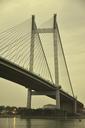 suspension-bridge-cable-bridge-390823.jpg