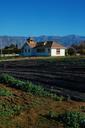 farm-california-organic-farming-580774.jpg