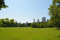 grass-central-park-park-new-york-607013.jpg