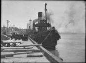 SLNSW 31066 Tugboat Champion at Newcastle.jpg