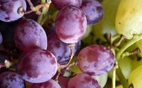 grapes-bunch-food-fruit-ripe-498684.jpg