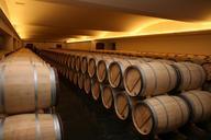 storage-winery-france-red-cellar-371766.jpg