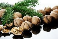 nut-nutshells-christmas-time-crack-1022491.jpg