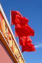 red-flag-socialism-flagpole-1028110.jpg