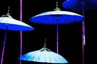 umbrellas-parasol-beach-umbrella-980363.jpg