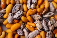 beans-haricot-dry-brown-raw-1593833.jpg