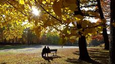 pair-bank-seat-romantic-autumn-1698495.jpg