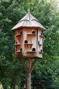 birdhouse-box-brown-dove-dovecot-71507.jpg