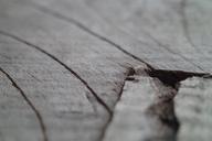 wood-grain-abstract-close-up-1513989.jpg