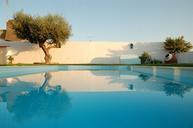 swimming-pool-water-reflection-tree-643413.jpg