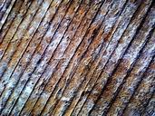 wood-grain-structure-color-blue-555547.jpg