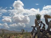 Cumulonimbus_clouds;_Desert_Queen_Valley.jpg