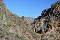 arizona-cactus-desert-landscape-573002.jpg