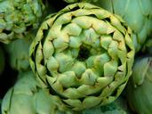 artichoke-vegetables-green-market-5364.jpg