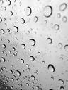 Water_Droplets_Pattern.jpg