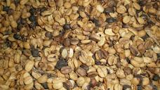 coffee-beans-coffee-roasted-seeds-348434.jpg