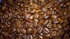 coffee-bean-coffee-beans-cafe-656058.jpg