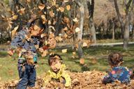 happy-kids-autumn-718501.jpg