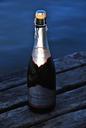 new-year-lake-winter-champagne-753010.jpg