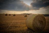 straw-bale-agriculture-cereals-165106.jpg