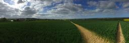 fields-spring-way-landscape-1230625.jpg