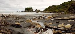 seascape-driftwood-sea-landscape-1044072.jpg