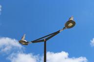 seagulls-birds-lamp-nature-769240.jpg