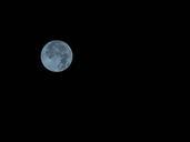 full-moon-the-night-sky-moon-1016592.jpg