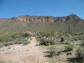 desert-cactus-nature-landscape-dry-417040.jpg